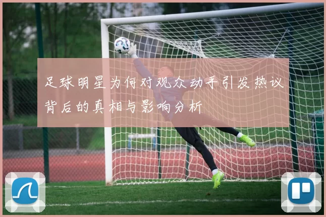 足球明星为何对观众动手引发热议背后的真相与影响分析