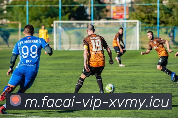 MK体育APP 封面图